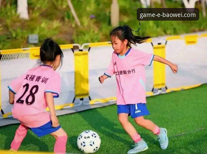 宝威体育安全吗使用指南 宝威体育平台安全性与使用体验全面解析:一份前瞻性指南